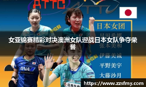 VSport-胜利因您更精彩
