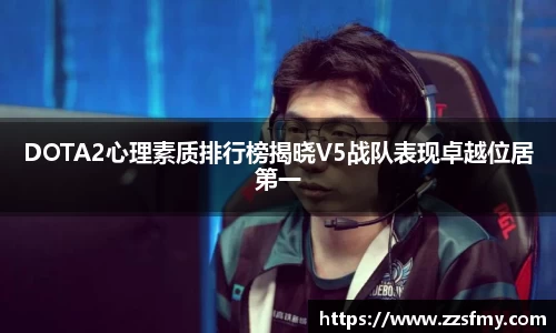 VSport-胜利因您更精彩