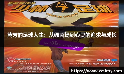 V体育